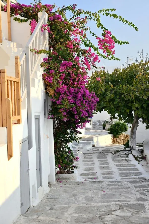 Marietta'S Διαμέρισμα Mykonos Town